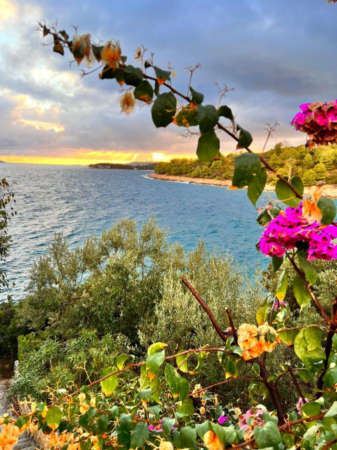 Luxury Beachfront Carlisa